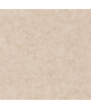 BETON UNI 101481156
