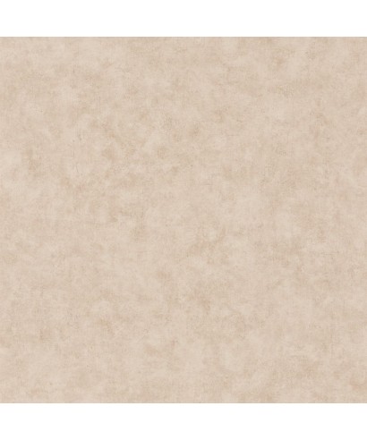 BETON UNI 101481156