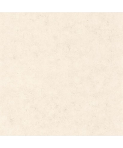 BETON UNI 101481258