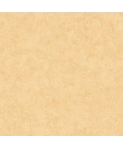 BETON UNI 101481515