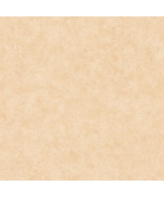 BETON UNI 101481674