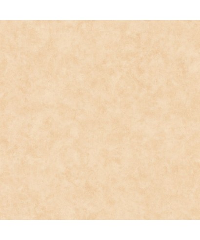 BETON UNI 101481674