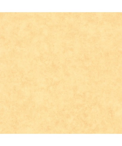 BETON UNI 101482200