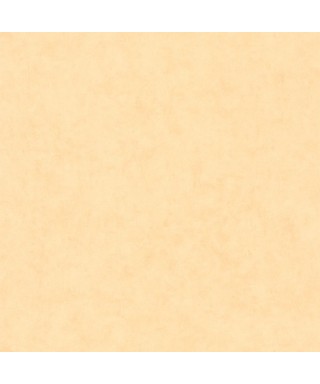 BETON UNI 101483100