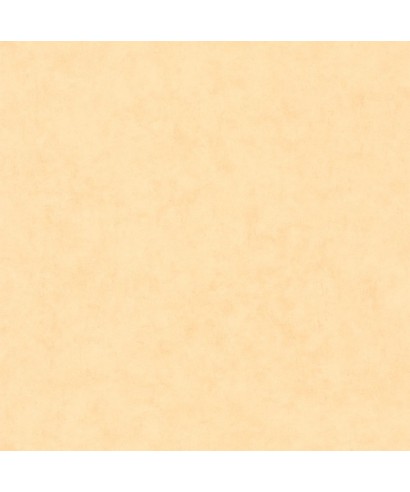 BETON UNI 101483100