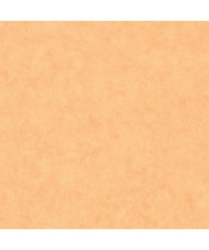 BETON UNI 101483250