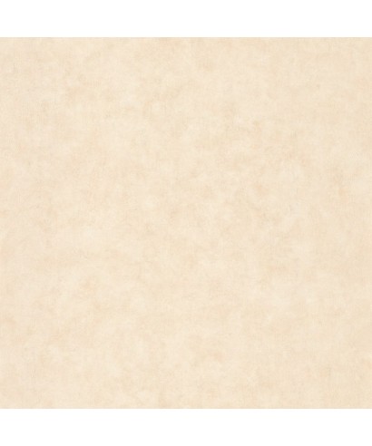BETON UNI 101491460