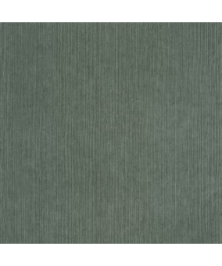 SISAL 106017589