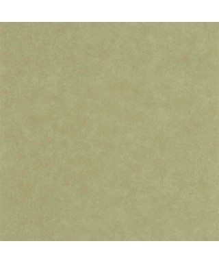 UNI MAT VERT PISTACHE