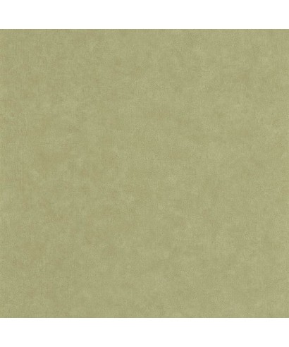 UNI MAT VERT PISTACHE