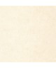 UNI METALLISE/ IRISE 105251000