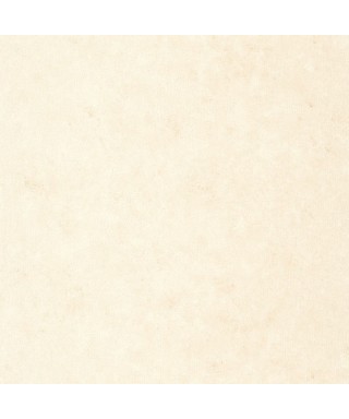 UNI METALLISE/ IRISE 105251000