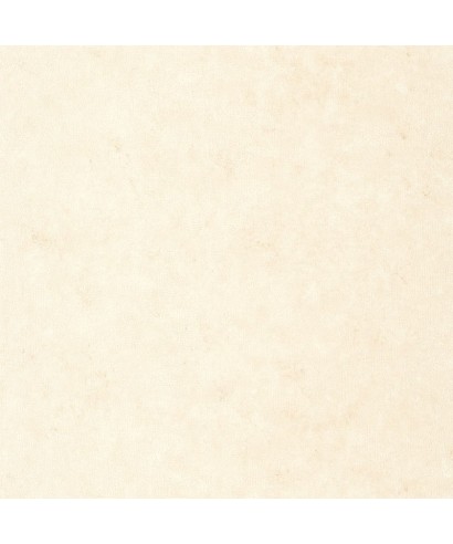 UNI METALLISE/ IRISE 105251000