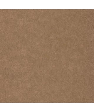 UNI METALLISE/ IRISE 105252040