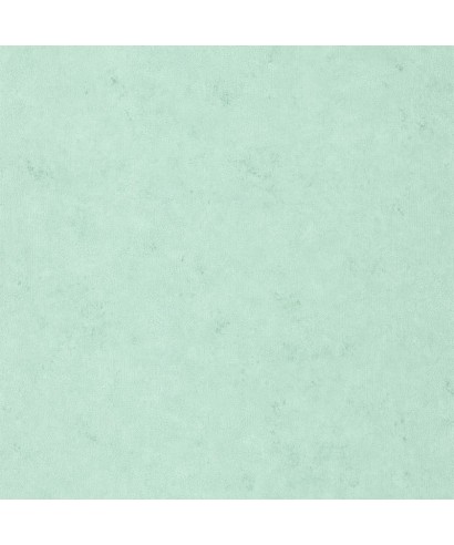 UNI METALLISE/ IRISE 105257150