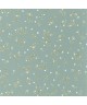CALLISTO 103646090