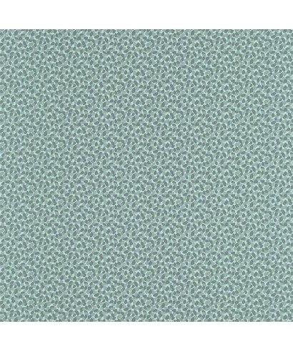 PHYSIS 103657074