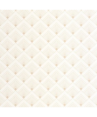 EFFERVESCENCE 105310000