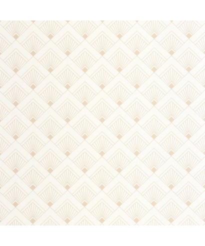 EFFERVESCENCE 105310000