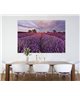 POSTER FOTOMURALE LAVENDEL 