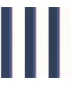 LINEAR 105530564