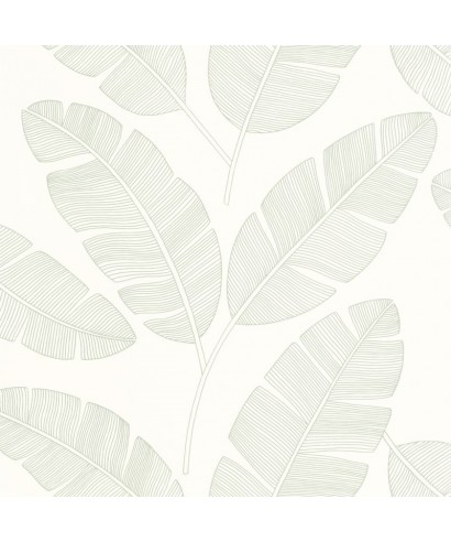 MOONLIGHT BANANA TREE 101100723
