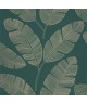 MOONLIGHT BANANA TREE 101107251