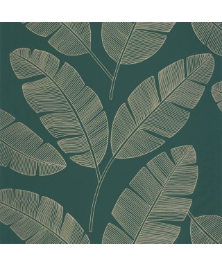 MOONLIGHT BANANA TREE 101107251