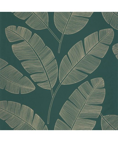 MOONLIGHT BANANA TREE 101107251