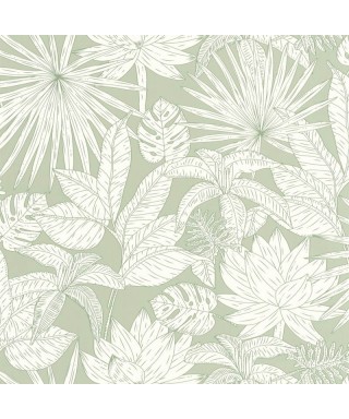 ODYSSEE HAWAI 101437041