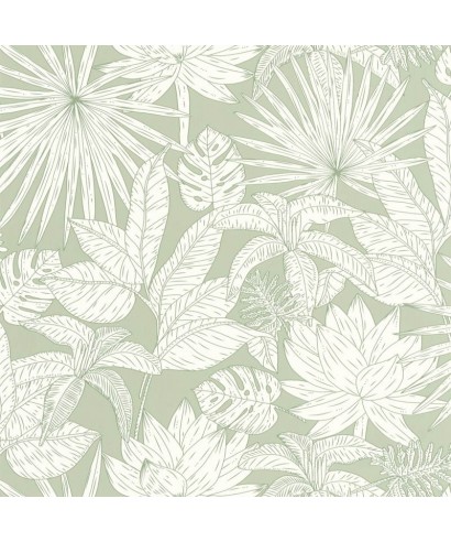 ODYSSEE HAWAI 101437041