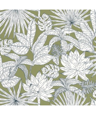 ODYSSEE HAWAI 101437167