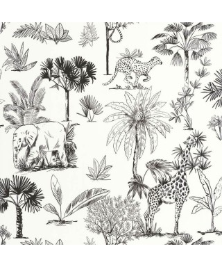 BALADE DANS LA SAVANE 105739090