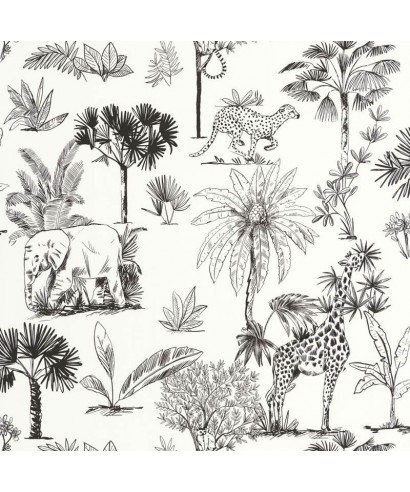 BALADE DANS LA SAVANE 105739090