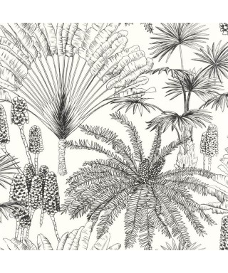 PARADISIA NOIR BLANC