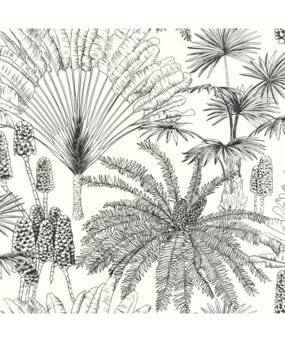 PARADISIA NOIR BLANC