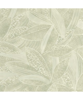 NATURA 106047070
