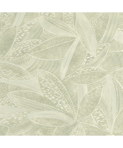NATURA 106047070