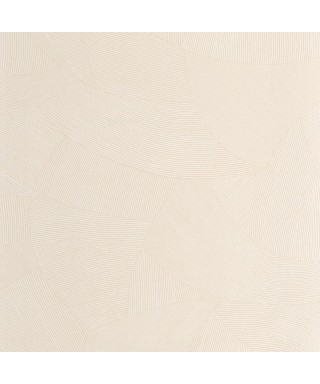 TERRA 106061023