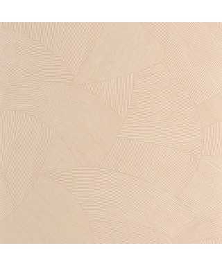 TERRA 106062087