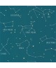 OUR PLANET CONSTELLATIONS 101916003