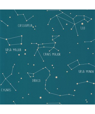 OUR PLANET CONSTELLATIONS 101916003