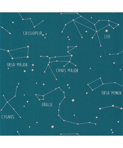 OUR PLANET CONSTELLATIONS 101916003