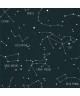 OUR PLANET CONSTELLATIONS 101916918