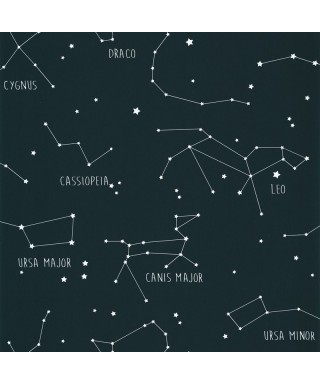OUR PLANET CONSTELLATIONS 101916918