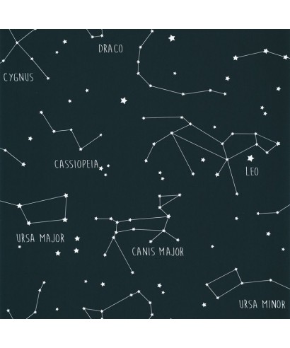 OUR PLANET CONSTELLATIONS 101916918