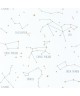 OUR PLANET CONSTELLATIONS 101917125