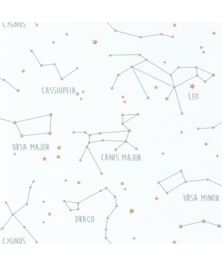 OUR PLANET CONSTELLATIONS 101917125