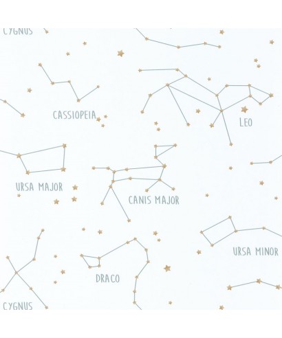 OUR PLANET CONSTELLATIONS 101917125