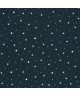 OUR PLANET STARS IN YOUR EYES 101926918